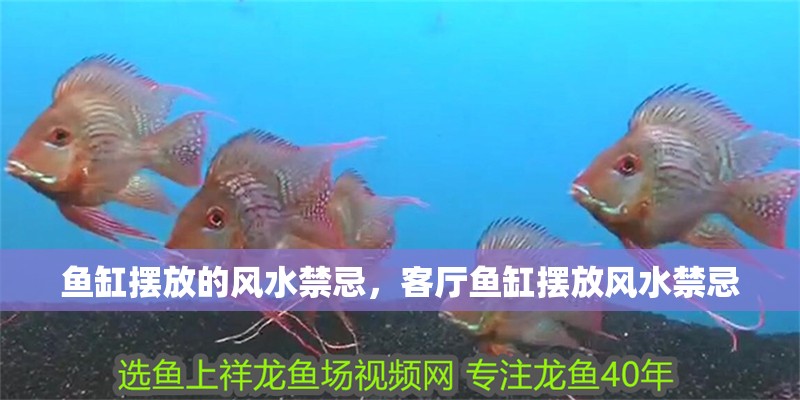 魚缸擺放的風(fēng)水禁忌，客廳魚缸擺放風(fēng)水禁忌