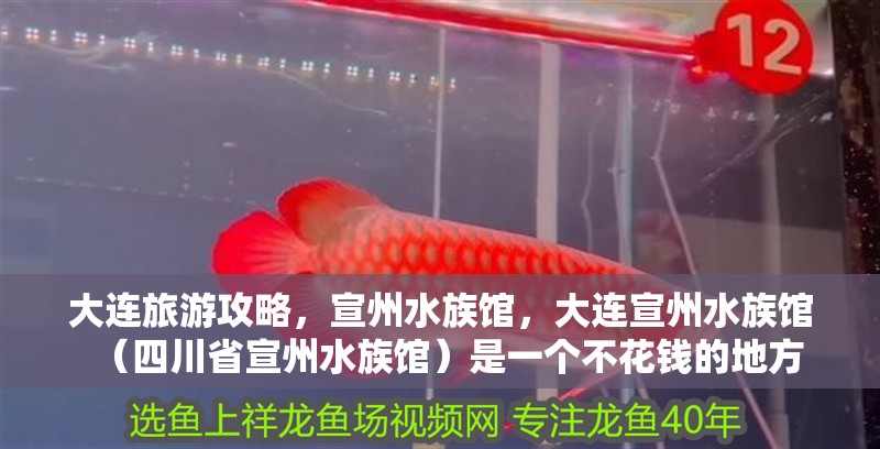 大連旅游攻略，宣州水族館，大連宣州水族館（四川省宣州水族館）是一個不花錢的地方