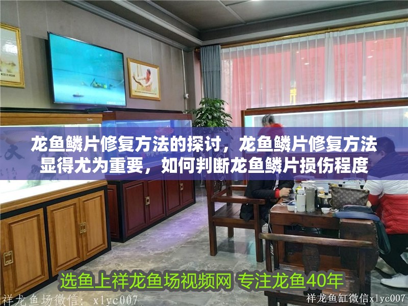 龍魚鱗片修復(fù)方法的探討，龍魚鱗片修復(fù)方法顯得尤為重要，如何判斷龍魚鱗片損傷程度