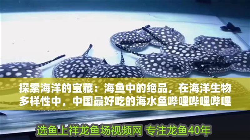 探索海洋的寶藏：海魚中的絕品，在海洋生物多樣性中，中國最好吃的海水魚嗶哩嗶哩嗶哩嗶哩嗶哩嗶哩展開