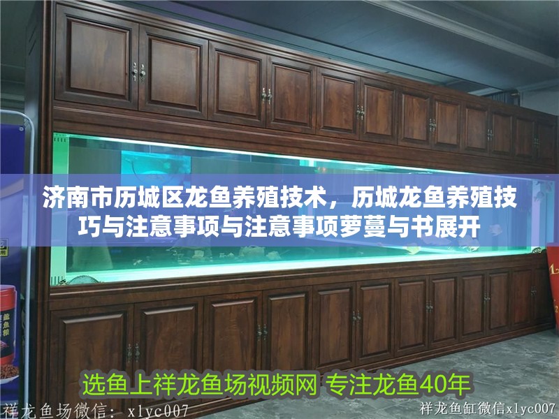 濟(jì)南市歷城區(qū)龍魚(yú)養(yǎng)殖技術(shù)，歷城龍魚(yú)養(yǎng)殖技巧與注意事項(xiàng)與注意事項(xiàng)蘿蔓與書(shū)展開(kāi)