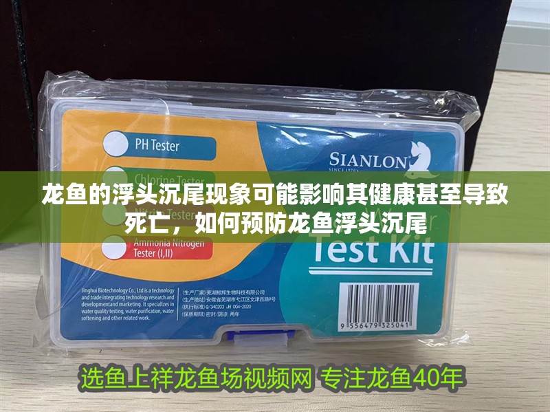 龍魚的浮頭沉尾現象可能影響其健康甚至導致死亡，如何預防龍魚浮頭沉尾