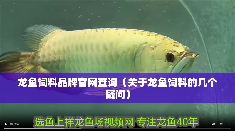 龍魚飼料品牌官網(wǎng)查詢（關(guān)于龍魚飼料的幾個疑問）