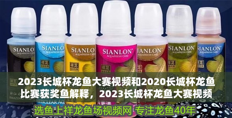 2023長城杯龍魚大賽視頻和2020長城杯龍魚比賽獲獎魚解釋，2023長城杯龍魚大賽視頻