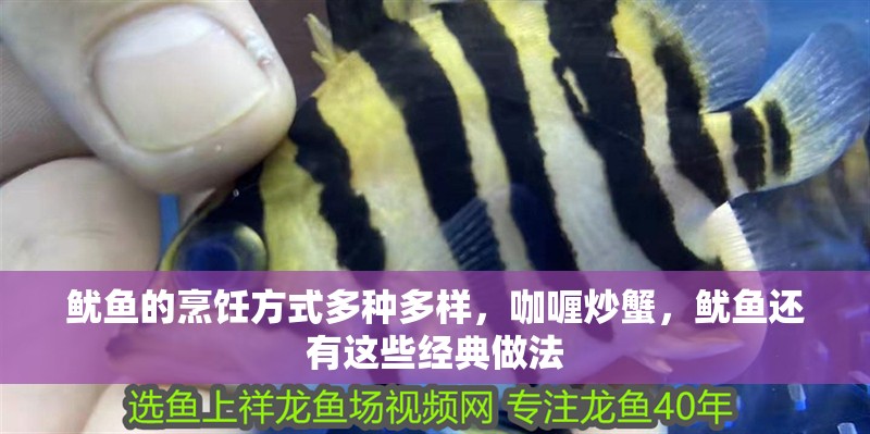 魷魚的烹飪方式多種多樣，咖喱炒蟹，魷魚還有這些經典做法