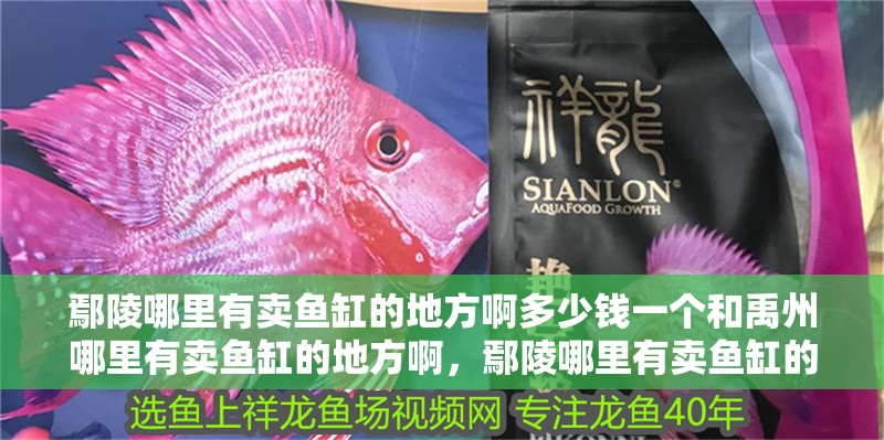 鄢陵哪里有賣魚缸的地方啊多少錢一個和禹州哪里有賣魚缸的地方啊，鄢陵哪里有賣魚缸的地方啊多少錢一個