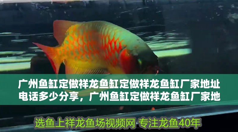 廣州魚缸定做祥龍魚缸定做祥龍魚缸廠家地址電話多少分享，廣州魚缸定做祥龍魚缸廠家地址電話多少