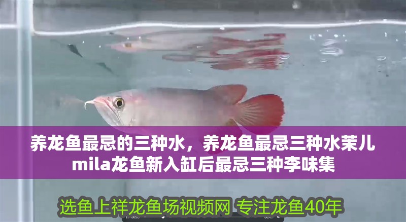 龍魚殺蟲藥有效性因種類而異，哪種龍魚殺蟲藥口碑最好？