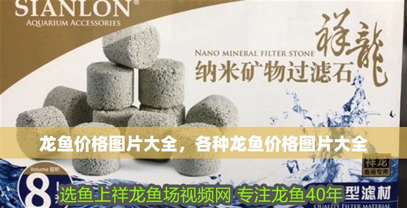 龍魚價格圖片大全，各種龍魚價格圖片大全