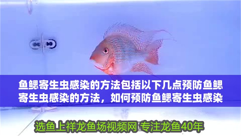 魚鰓寄生蟲感染的方法包括以下幾點預防魚鰓寄生蟲感染的方法，如何預防魚鰓寄生蟲感染