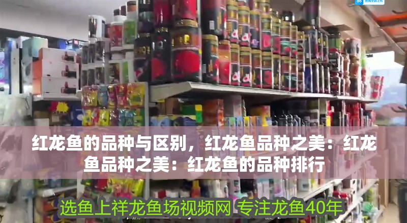 紅龍魚的品種與區別，紅龍魚品種之美：紅龍魚品種之美：紅龍魚的品種排行