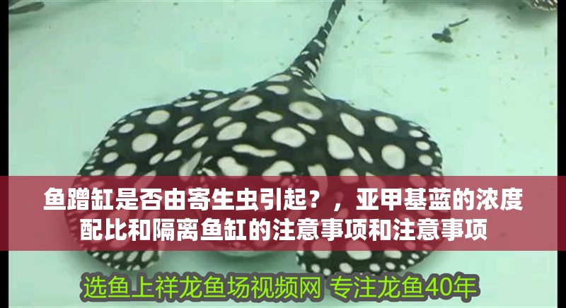 魚蹭缸是否由寄生蟲引起？，亞甲基藍的濃度配比和隔離魚缸的注意事項和注意事項