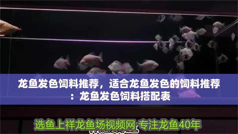 自制魚缸換氣機器視頻大全圖解：自制魚缸換氣機器視頻大全圖解，自制魚缸換氣機器視頻