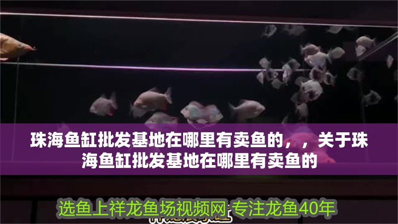 珠海魚(yú)缸批發(fā)基地在哪里有賣(mài)魚(yú)的，，關(guān)于珠海魚(yú)缸批發(fā)基地在哪里有賣(mài)魚(yú)的