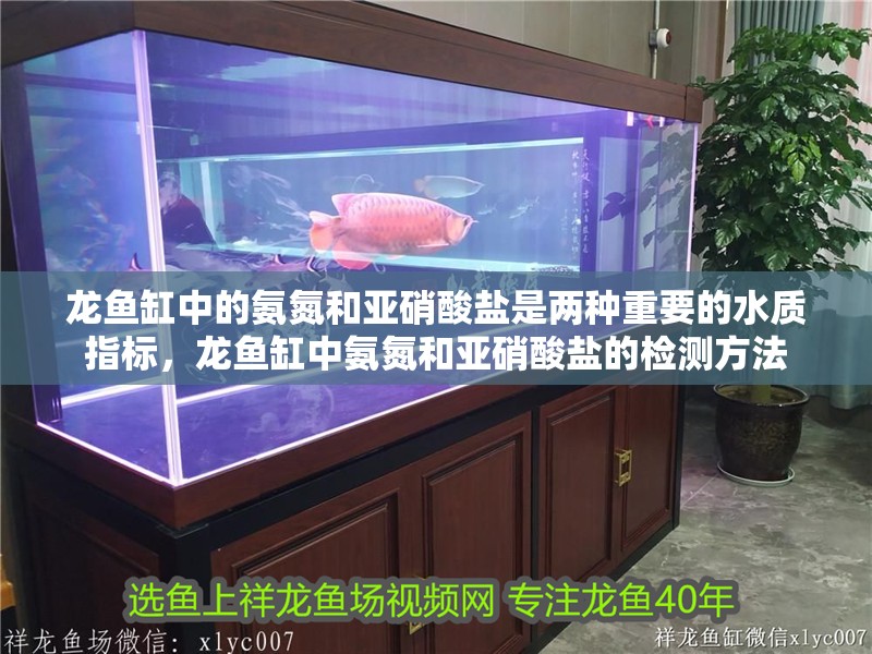 龍魚缸中的氨氮和亞硝酸鹽是兩種重要的水質指標，龍魚缸中氨氮和亞硝酸鹽的檢測方法