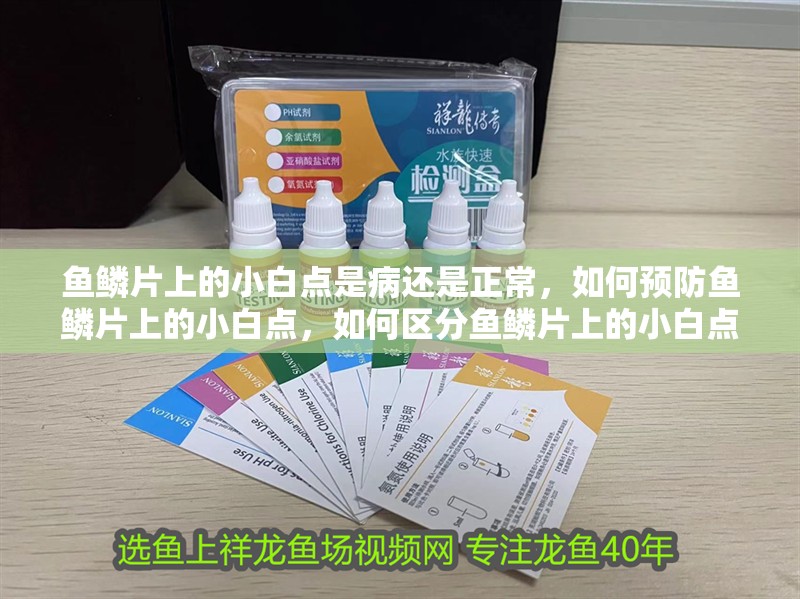 魚鱗片上的小白點是病還是正常，如何預防魚鱗片上的小白點，如何區(qū)分魚鱗片上的小白點是病還是正常