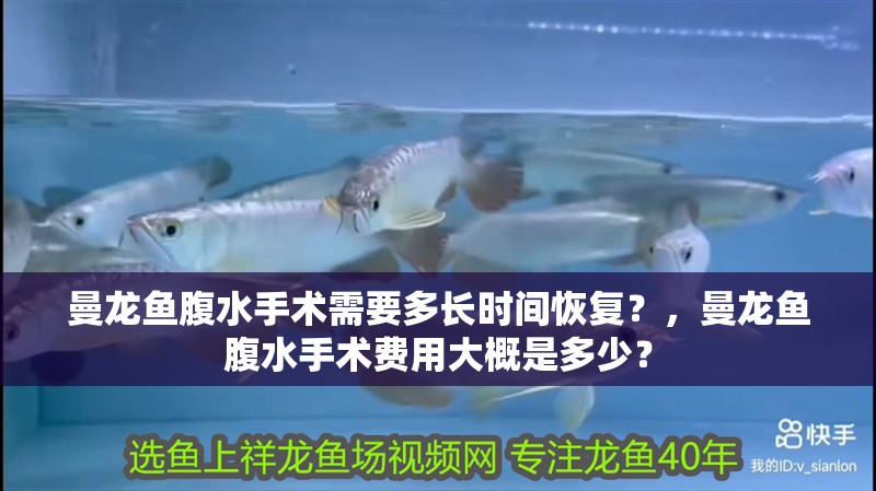曼龍魚腹水手術需要多長時間恢復？，曼龍魚腹水手術費用大概是多少？