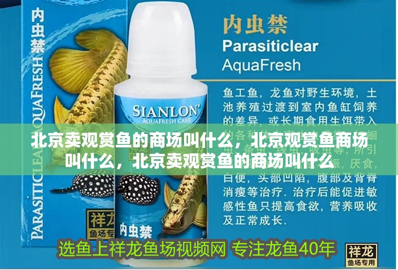 北京賣觀賞魚的商場叫什么，北京觀賞魚商場叫什么，北京賣觀賞魚的商場叫什么