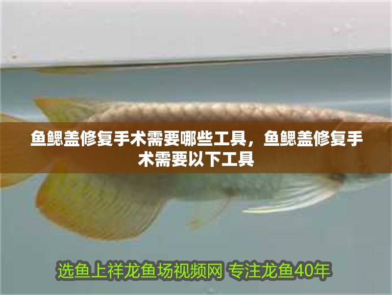 魚鰓蓋修復手術需要哪些工具，魚鰓蓋修復手術需要以下工具