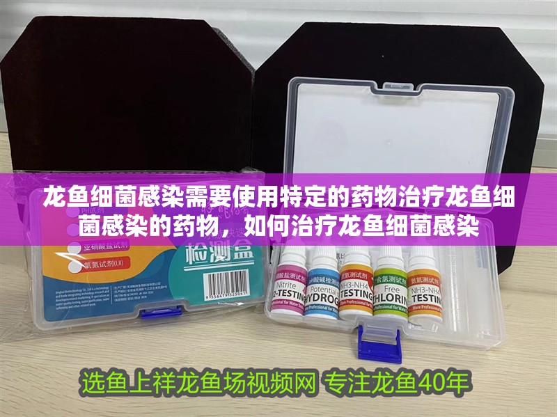 龍魚細菌感染需要使用特定的藥物治療龍魚細菌感染的藥物，如何治療龍魚細菌感染