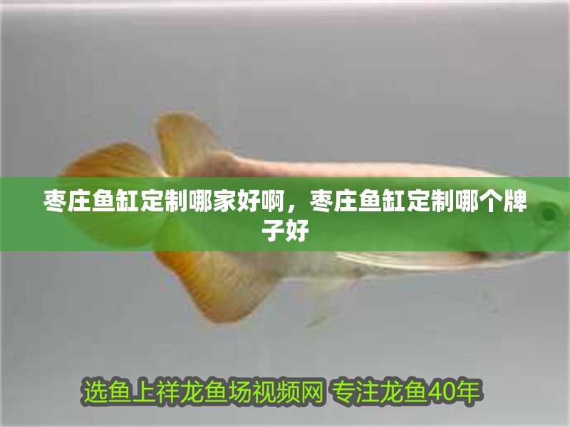 棗莊魚缸定制哪家好啊，棗莊魚缸定制哪個牌子好