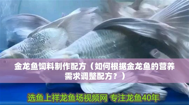 金龍魚飼料制作配方（如何根據金龍魚的營養需求調整配方？）