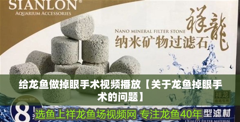 龍魚腮部起泡是常見的問題，龍魚腮部起泡會自愈嗎，如何判斷龍魚是否再次起泡？