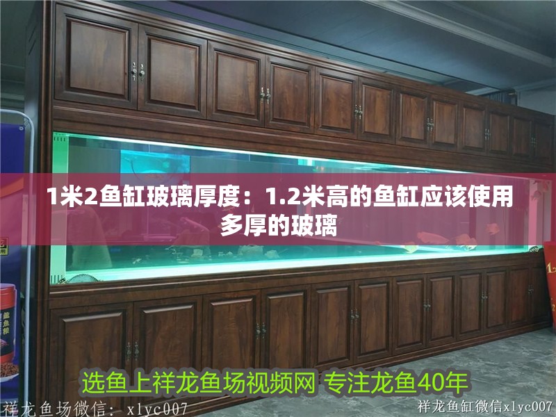 高背龍魚的發色需要多長時間才能恢復正常？，高背龍魚的發色需要多久才能恢復正常高背龍魚發色恢復正常