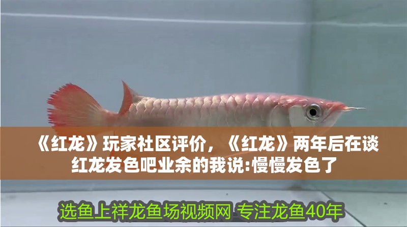 《紅龍》玩家社區評價，《紅龍》兩年后在談紅龍發色吧業余的我說:慢慢發色了