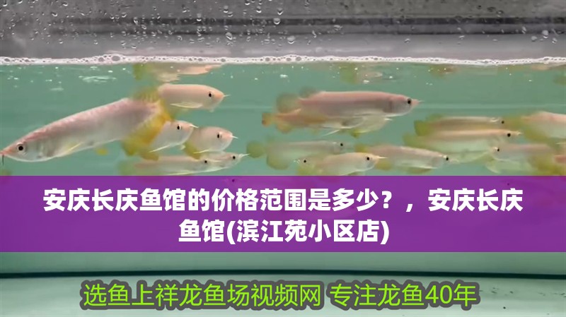 安慶長慶魚館的價格范圍是多少？，安慶長慶魚館(濱江苑小區店)