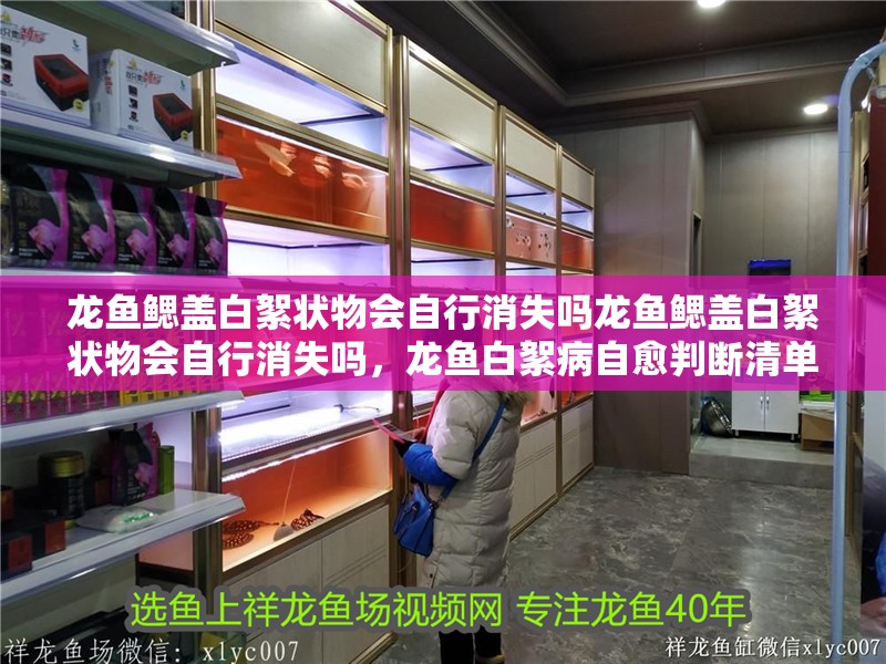 龍魚鰓蓋白絮狀物會自行消失嗎龍魚鰓蓋白絮狀物會自行消失嗎，龍魚白絮病自愈判斷清單