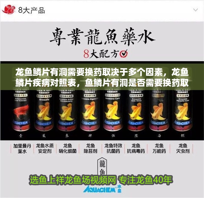 龍魚鱗片有洞需要換藥取決于多個因素，龍魚鱗片疾病對照表，魚鱗片有洞是否需要換藥取決于多個因素