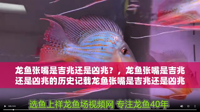 龍魚張嘴是吉兆還是兇兆？，龍魚張嘴是吉兆還是兇兆的歷史記載龍魚張嘴是吉兆還是兇兆的歷史記載