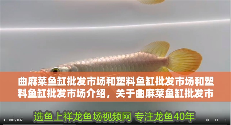 龍魚外寄的癥狀主要表現為體表或魚鰭上出現小疙瘩潰爛，龍魚外寄如何治療