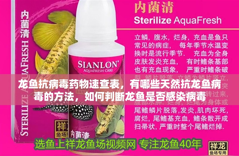 龍魚抗病毒藥物速查表，有哪些天然抗龍魚病毒的方法，如何判斷龍魚是否感染病毒