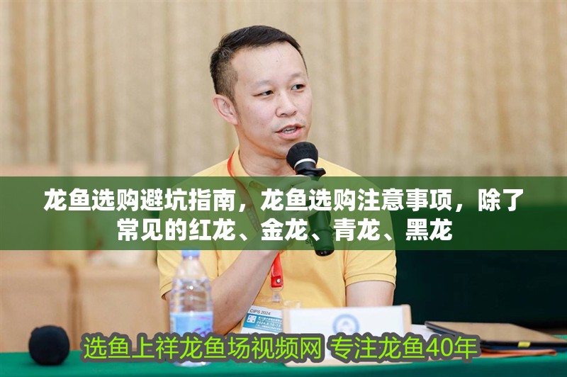 龍魚選購避坑指南，龍魚選購注意事項(xiàng)，除了常見的紅龍、金龍、青龍、黑龍