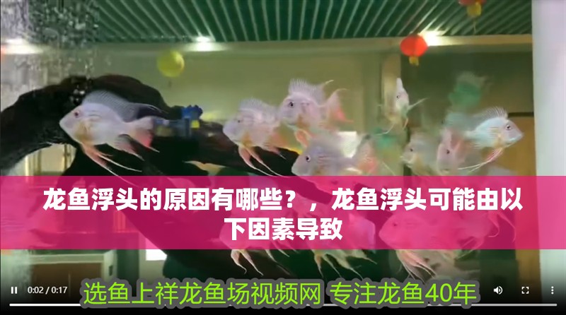 龍魚浮頭的原因有哪些？，龍魚浮頭可能由以下因素導(dǎo)致