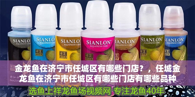 金龍魚在濟寧市任城區(qū)有哪些門店？，任城金龍魚在濟寧市任城區(qū)有哪些門店有哪些品種