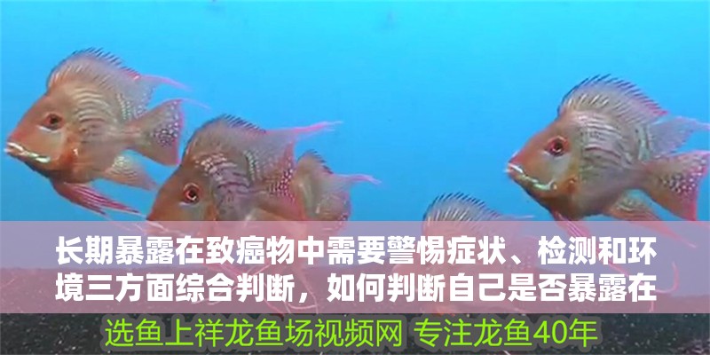 長期暴露在致癌物中需要警惕癥狀、檢測和環境三方面綜合判斷，如何判斷自己是否暴露在致癌物中？