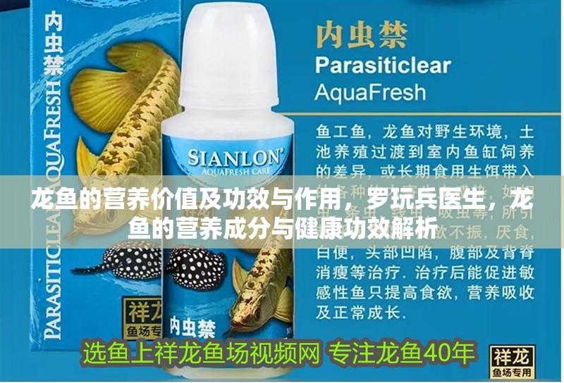龍魚的營養價值及功效與作用，羅玩兵醫生，龍魚的營養成分與健康功效解析