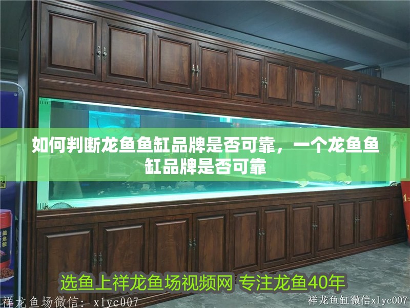 如何判斷龍魚魚缸品牌是否可靠，一個龍魚魚缸品牌是否可靠