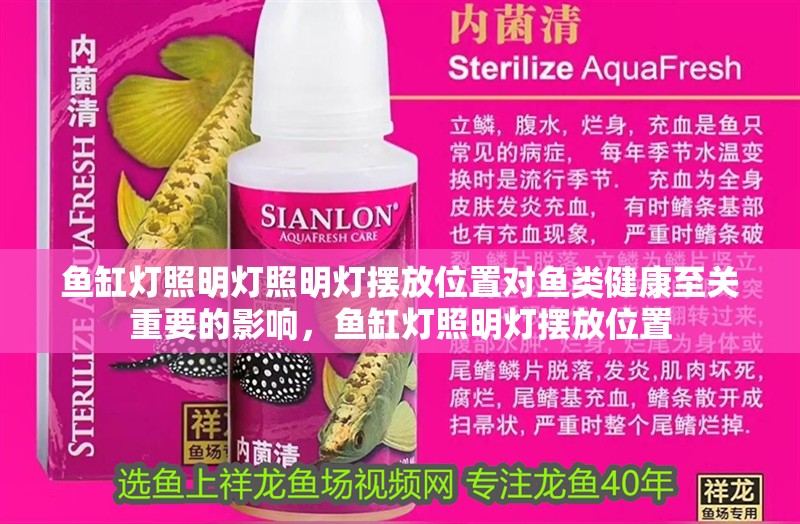 魚缸燈照明燈照明燈擺放位置對魚類健康至關重要的影響，魚缸燈照明燈擺放位置