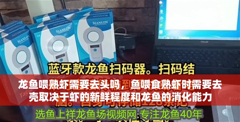 龍魚喂熟蝦需要去頭嗎，魚喂食熟蝦時需要去殼取決于蝦的新鮮程度和龍魚的消化能力