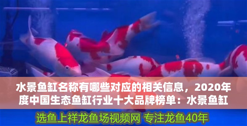 水景魚缸名稱有哪些對應的相關信息，2020年度中國生態魚缸行業十大品牌榜單：水景魚缸