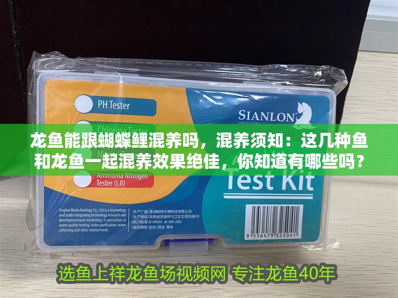 龍魚能跟蝴蝶鯉混養嗎，混養須知：這幾種魚和龍魚一起混養效果絕佳，你知道有哪些嗎？