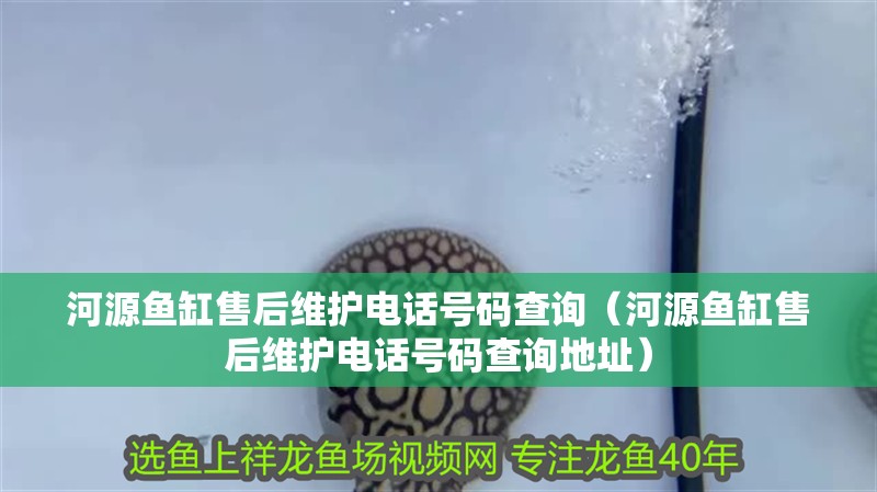 河源魚缸售后維護(hù)電話號碼查詢（河源魚缸售后維護(hù)電話號碼查詢地址）