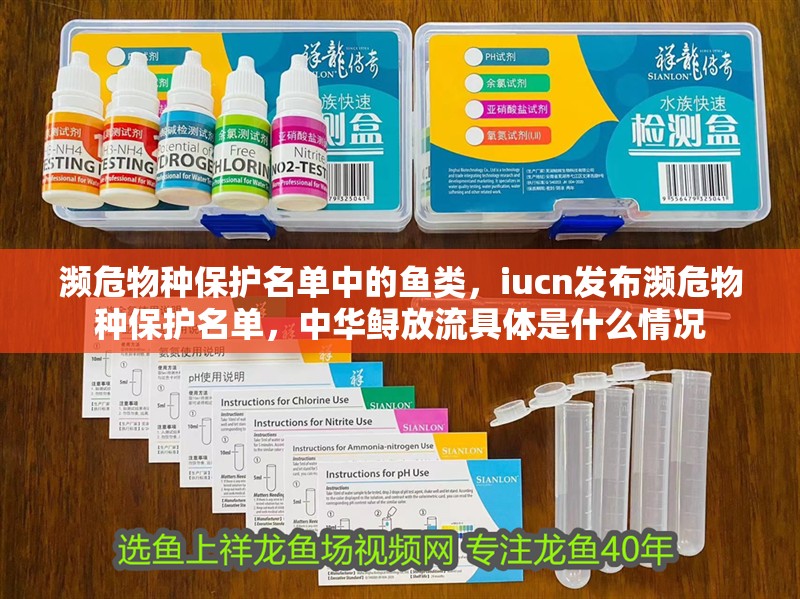 瀕危物種保護名單中的魚類，iucn發布瀕危物種保護名單，中華鱘放流具體是什么情況