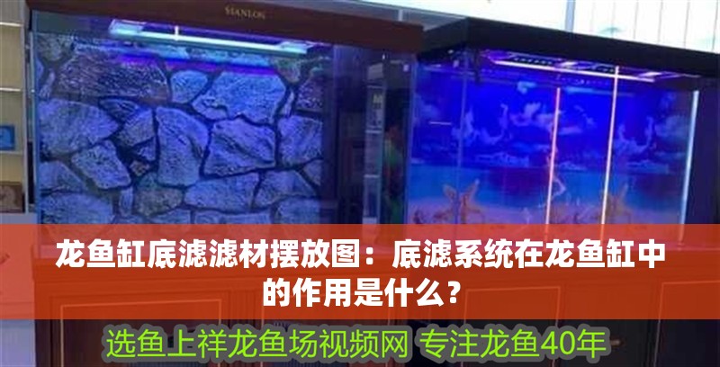 龍魚缸底濾濾材擺放圖：底濾系統(tǒng)在龍魚缸中的作用是什么？