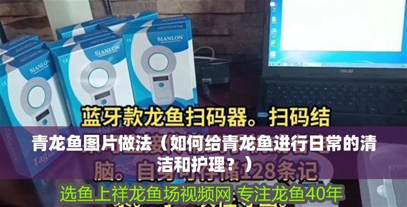 青龍魚圖片做法（如何給青龍魚進行日常的清潔和護理？）
