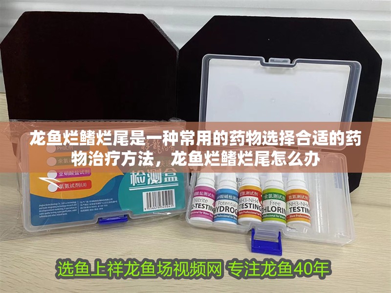 龍魚爛鰭爛尾是一種常用的藥物選擇合適的藥物治療方法，龍魚爛鰭爛尾怎么辦